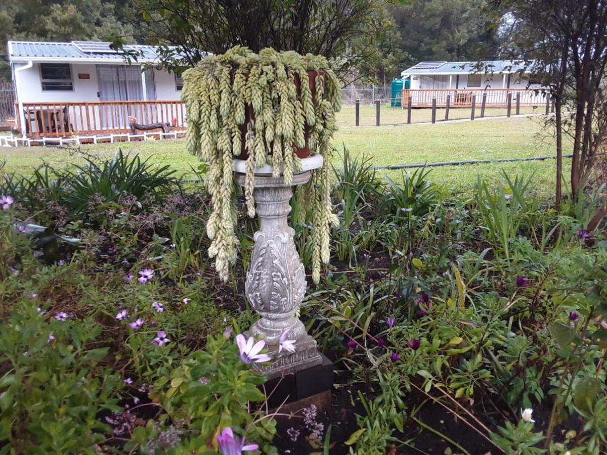 Nadine'S Self-Catering Accommodation Stormsrivier Bagian luar foto